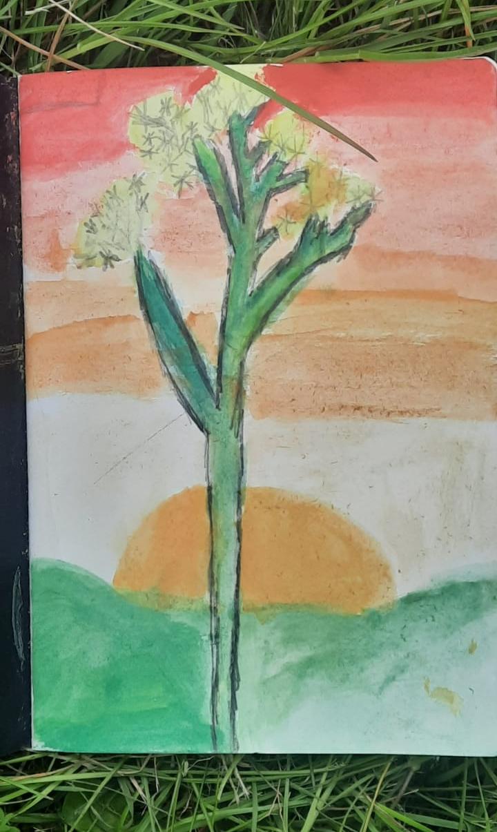 Cowslip painting at sunrise/sunset