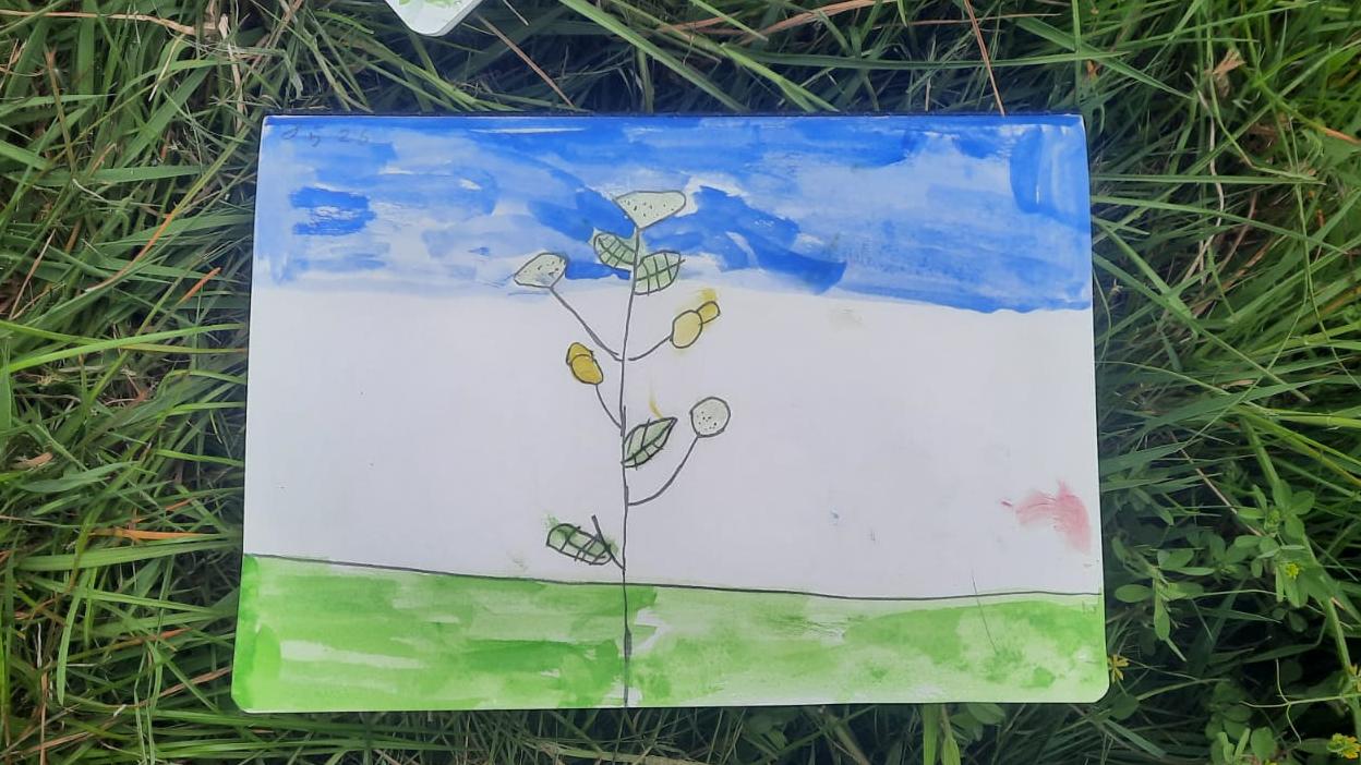 Lineal sublimity in this painting of a wild flower