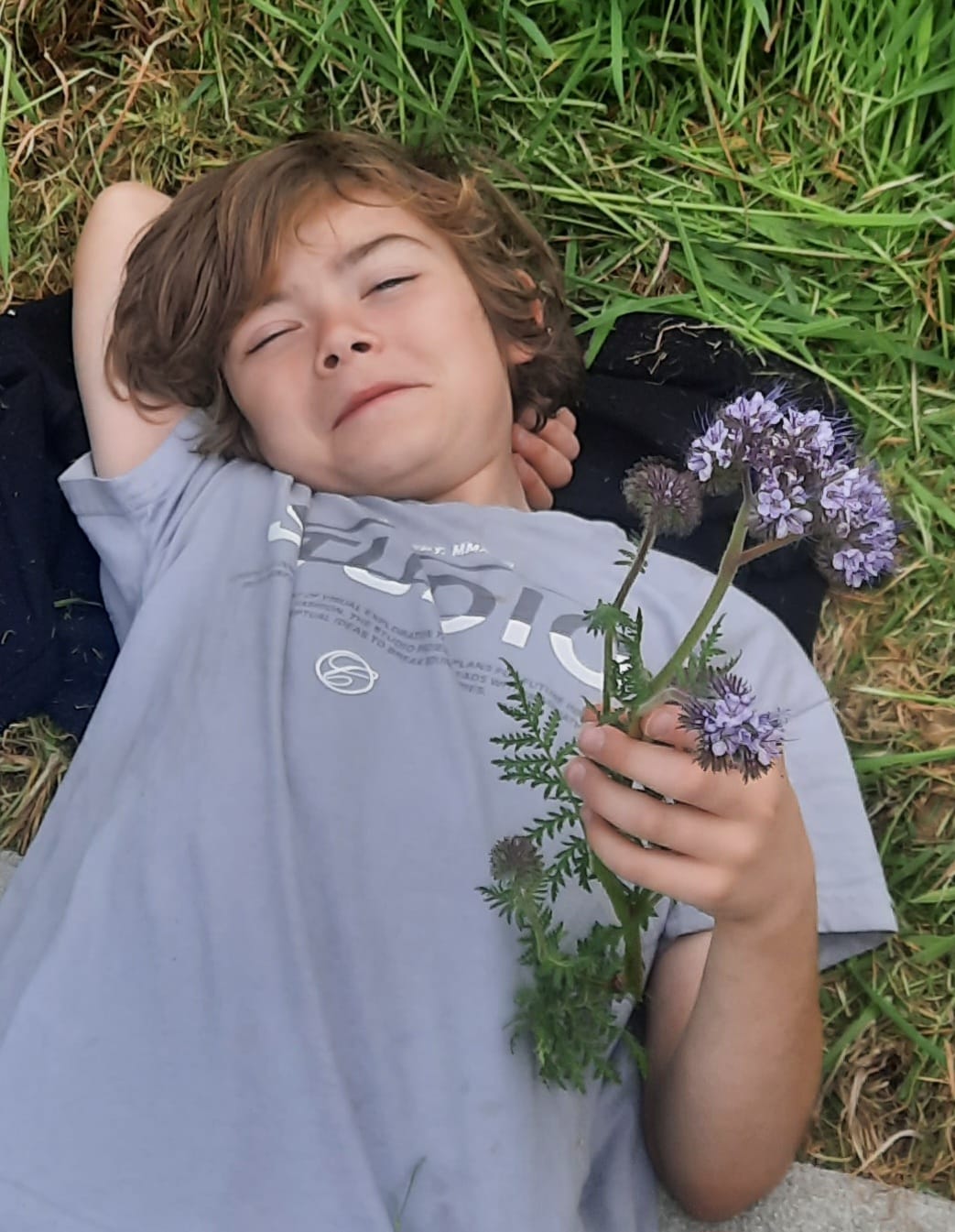Phacelia smiling