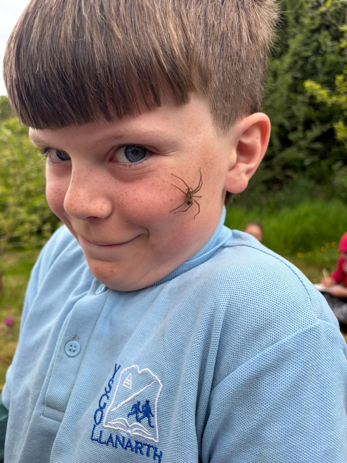 Cheeky spider