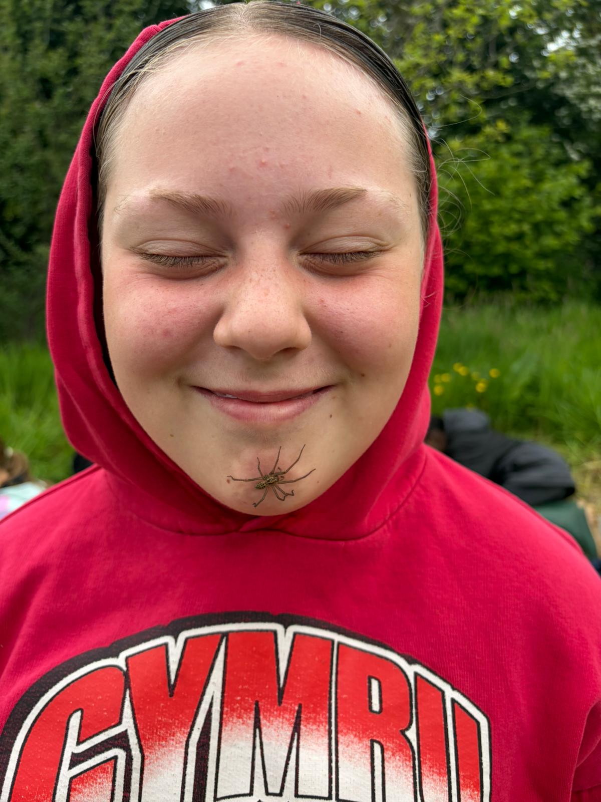 Spider chin