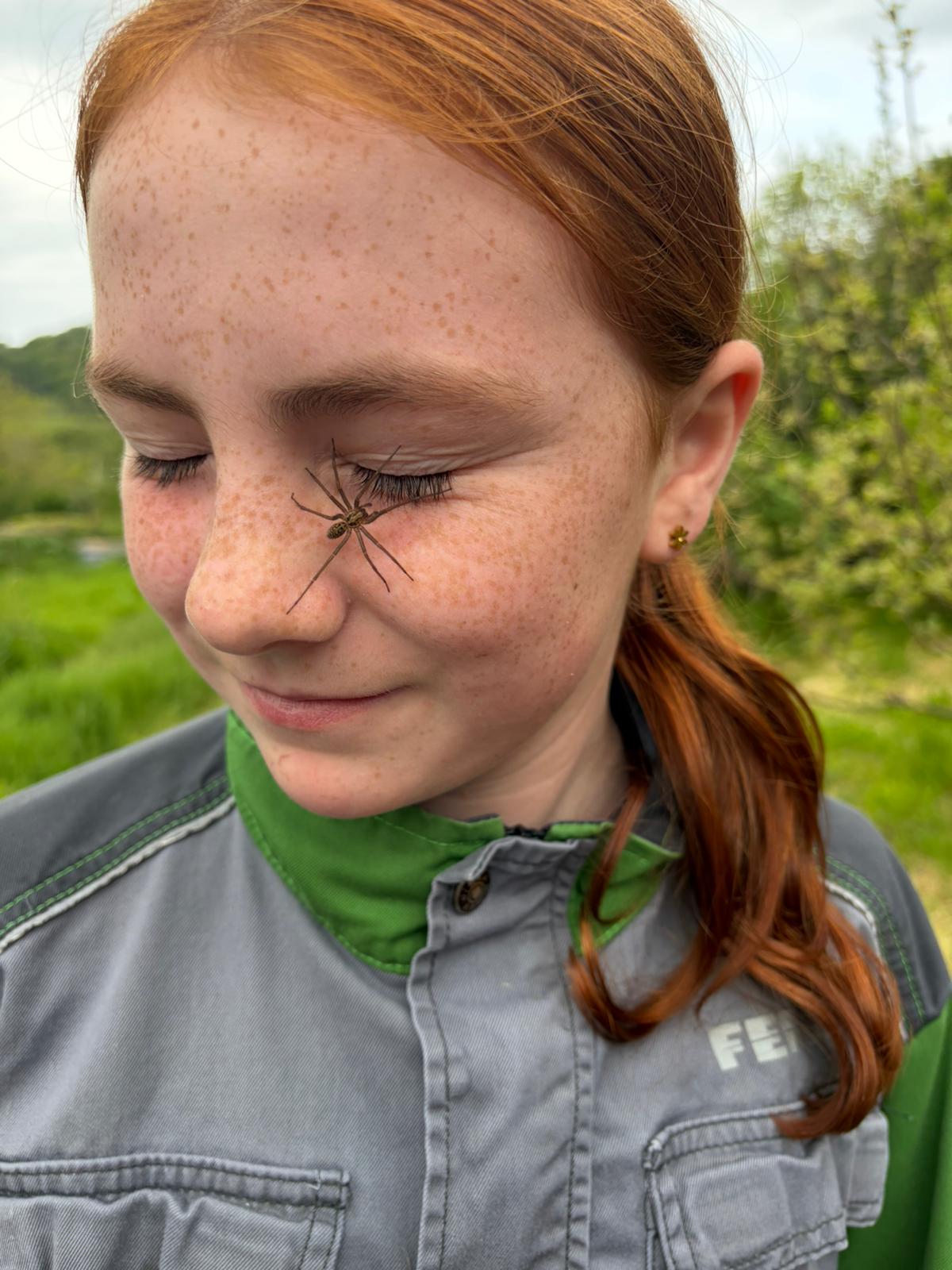 Spider eye