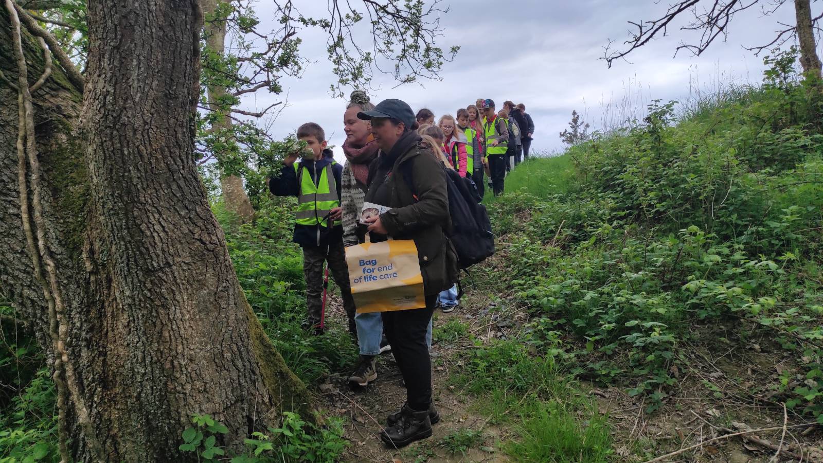 Ecologist and story teller looking at Oak tree, with line of students behind in the field