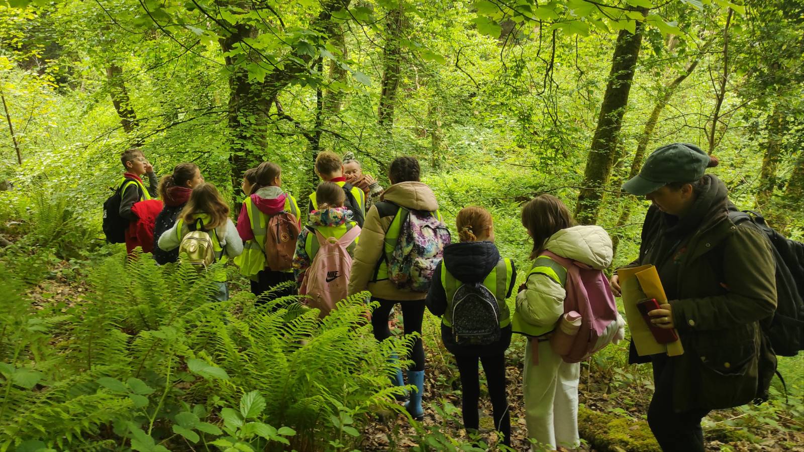Students in hi-vis jacket walking down steep path, with capped ecologist at the rear