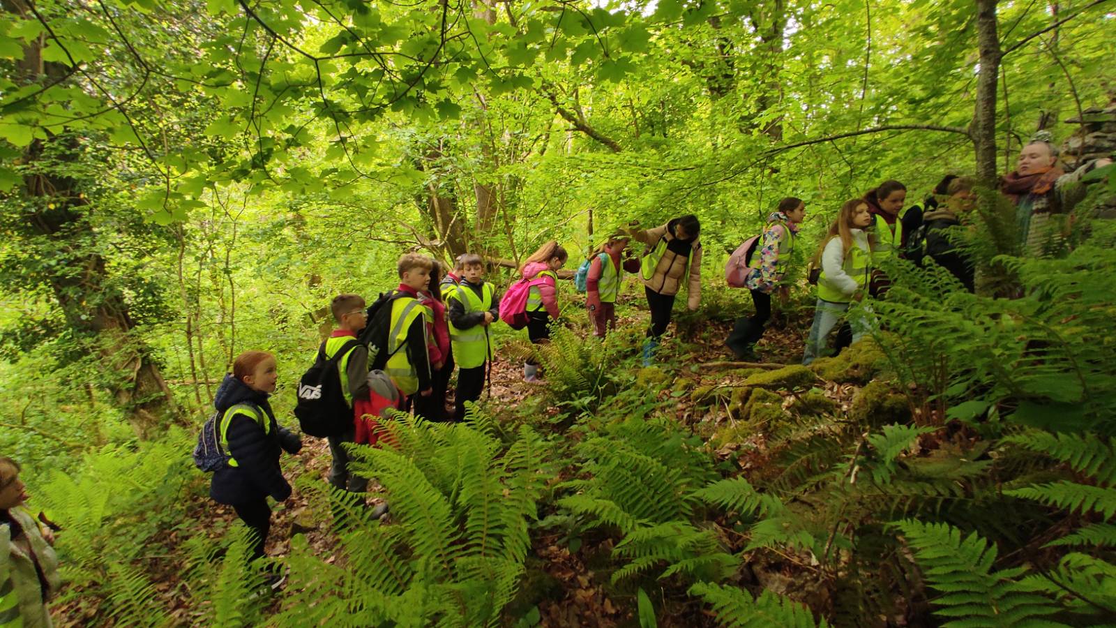 Long line of students in hi-vis jackets in the wood
