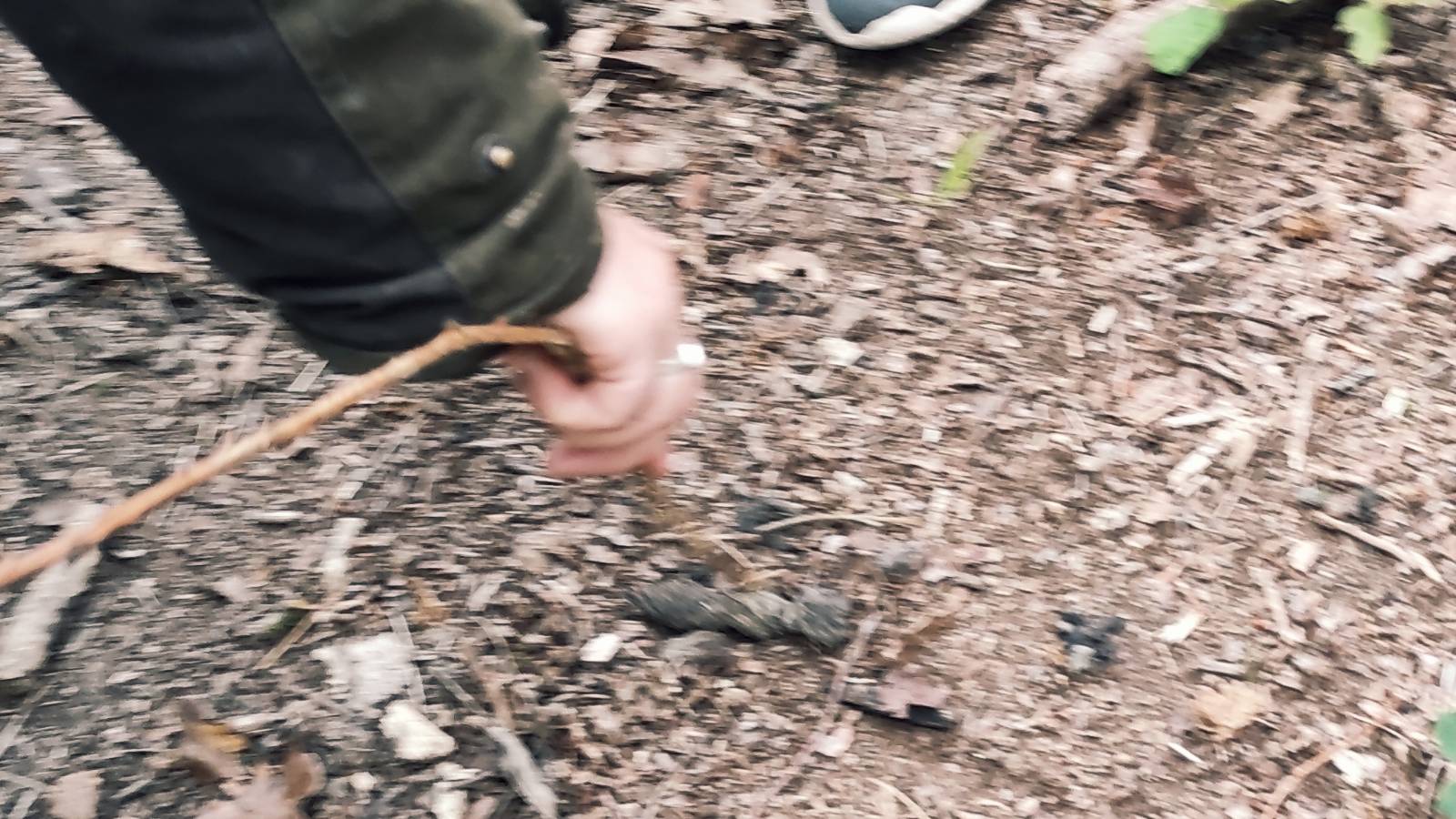 Hand poking poo with a stick