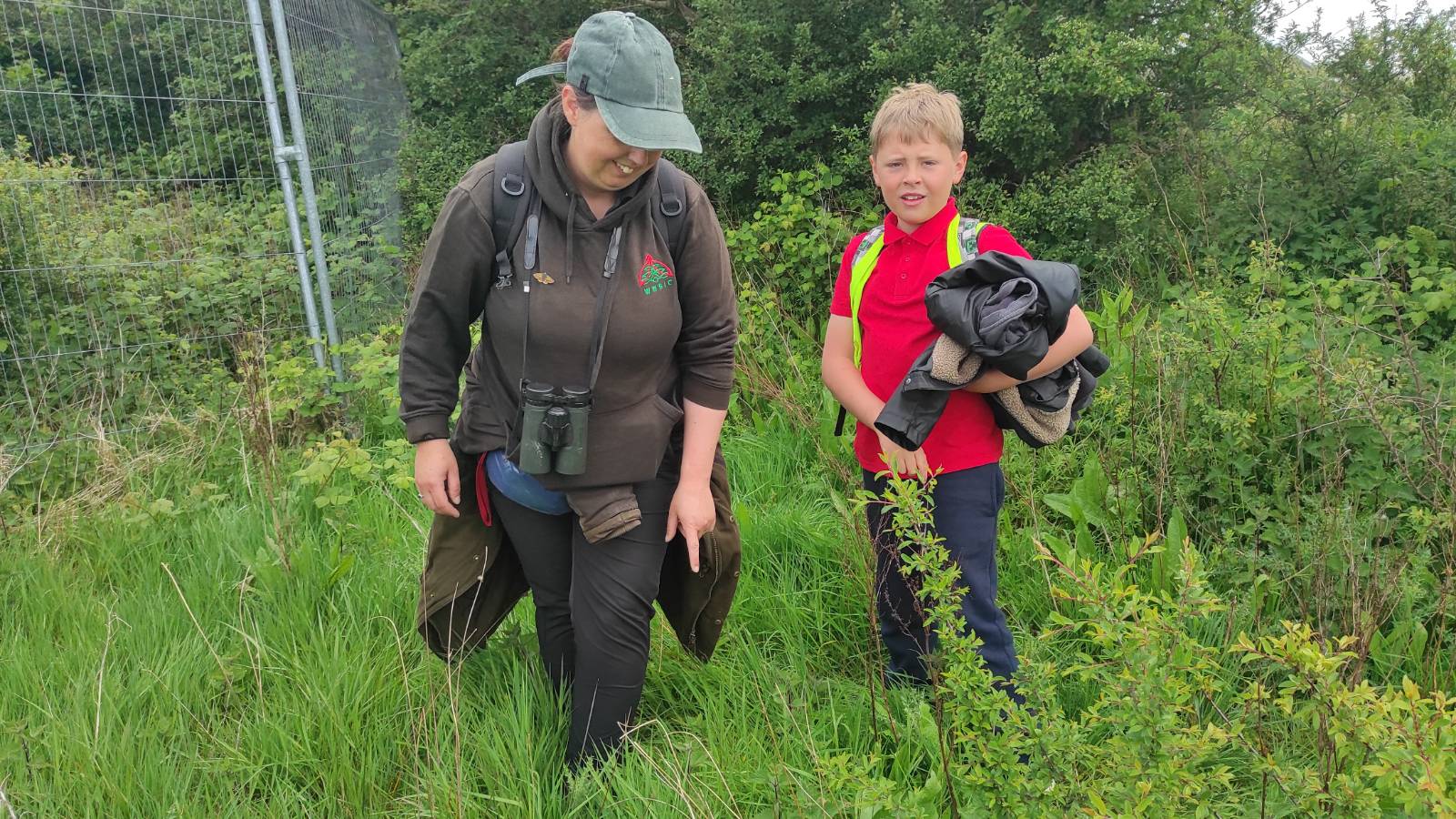 Ecologist with cap and student looking through a patch of Nettles for another Green Nettle Weevil