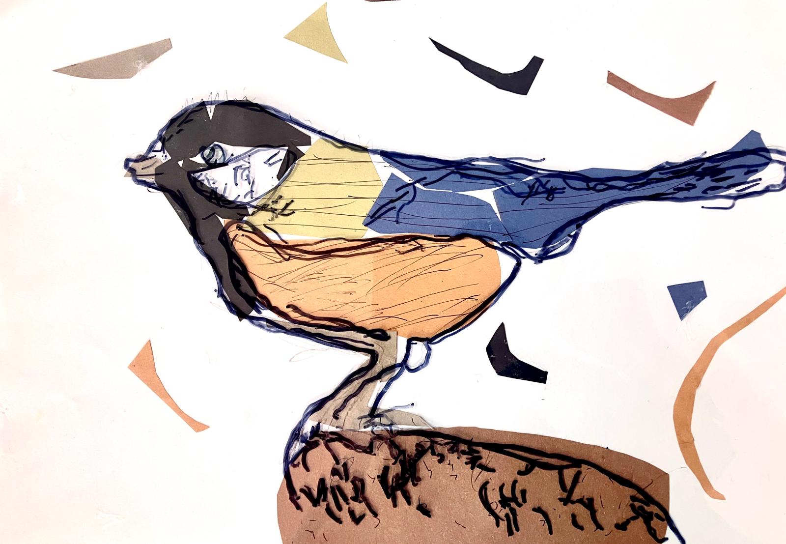 Bird species and the Oak / Derwen