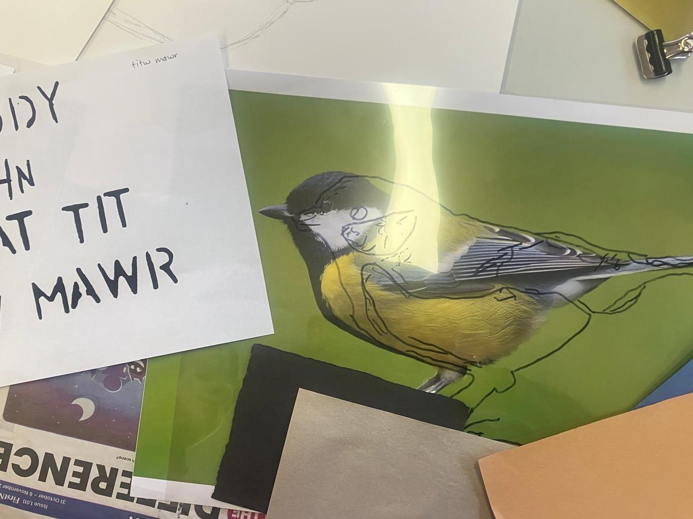 Photo of bird, acetate overlay and outline, and stencilled names