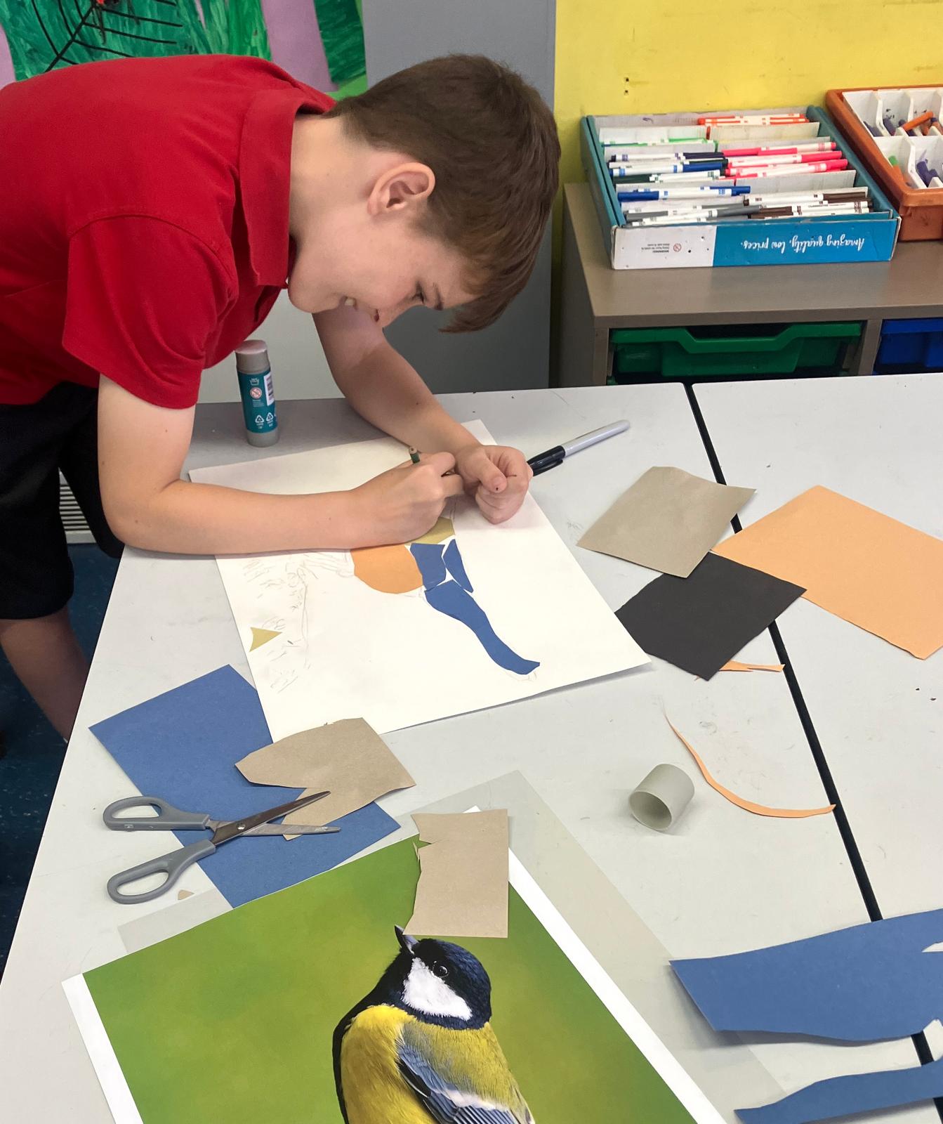 Student creating montage of bird using coloured card, with reference photo of bird, scissors and coloured card on table
