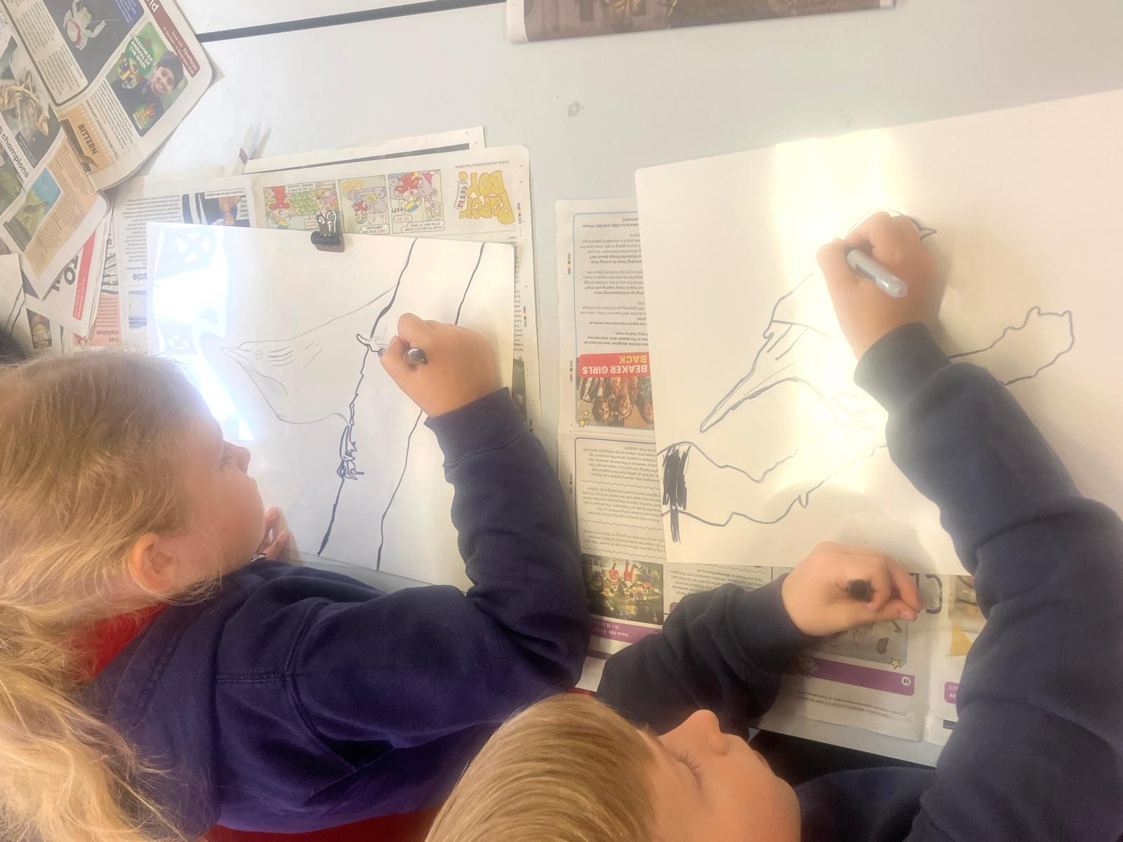 Two students tracing the pencil drawing of a bird on acetate with a thick black pen