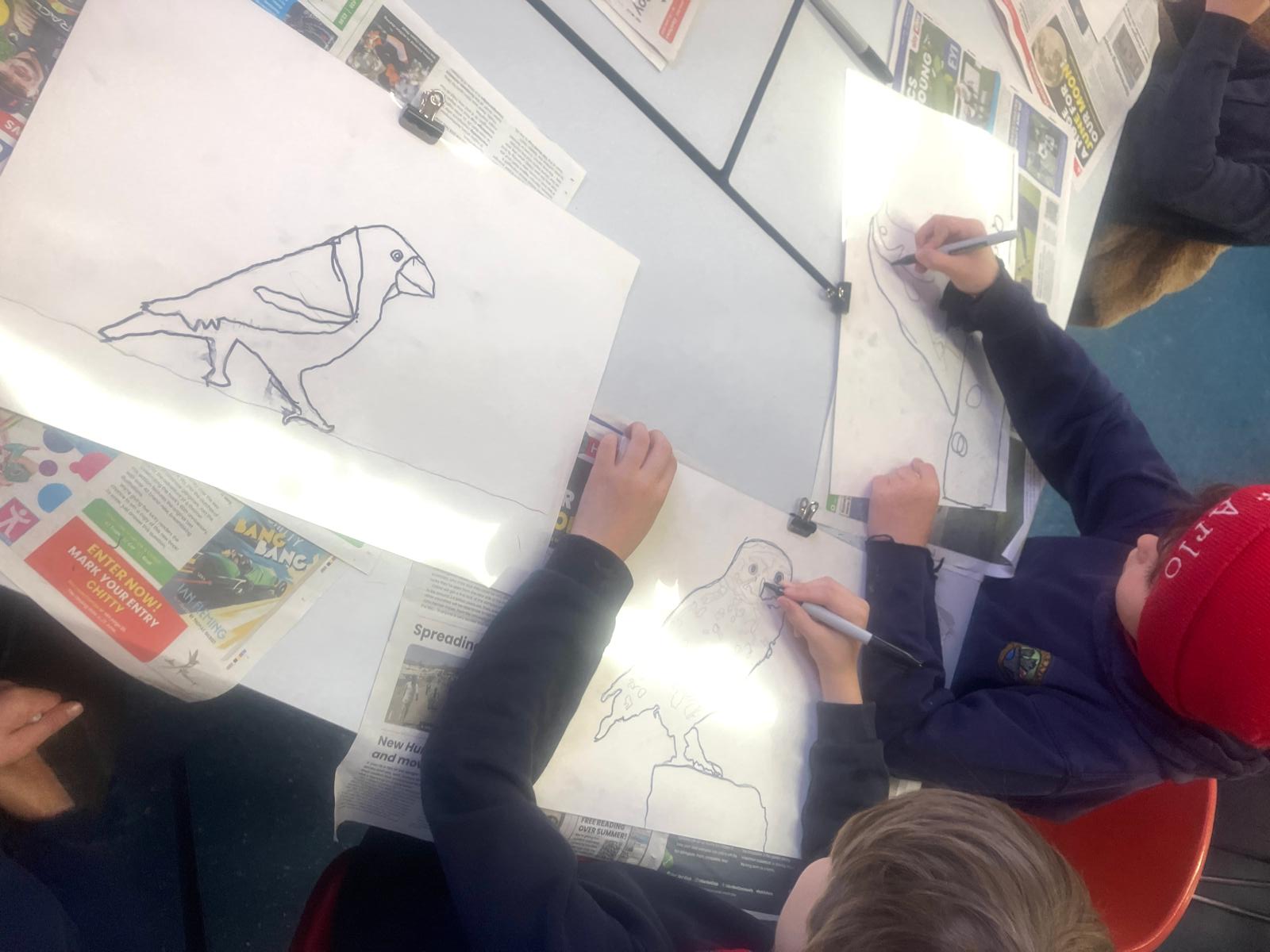 Students tracing bird pencil drawings with thick black marker pen