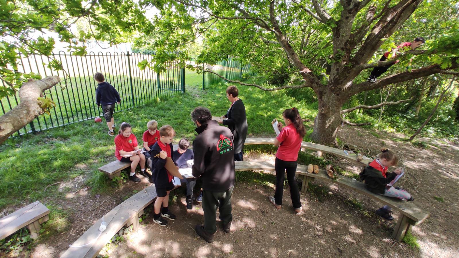 Semi-circular fixed benches in the shade of the Oak trees, behind the railing