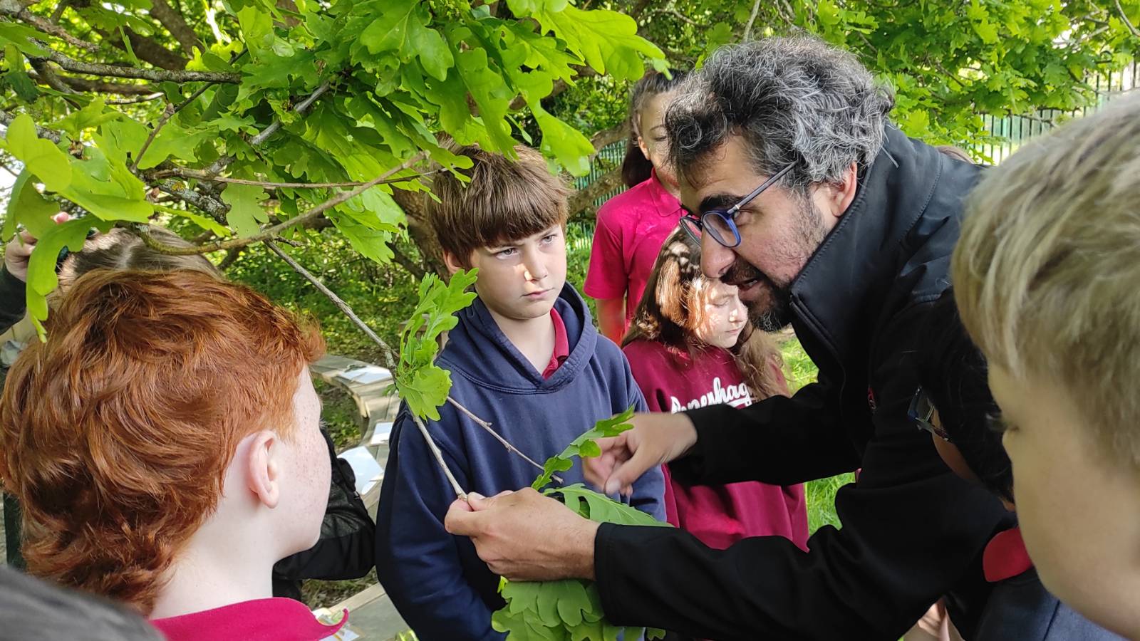 Ecologist holding twig and leaves in hand, showing students Oak galls