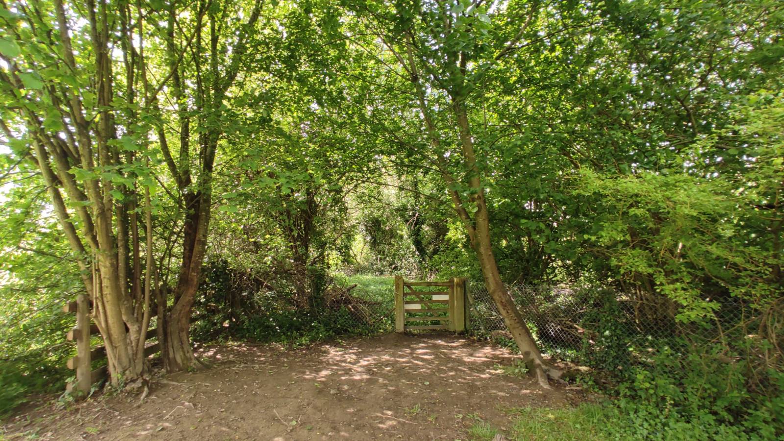 Habitat guidelines — where to put up nest boxes