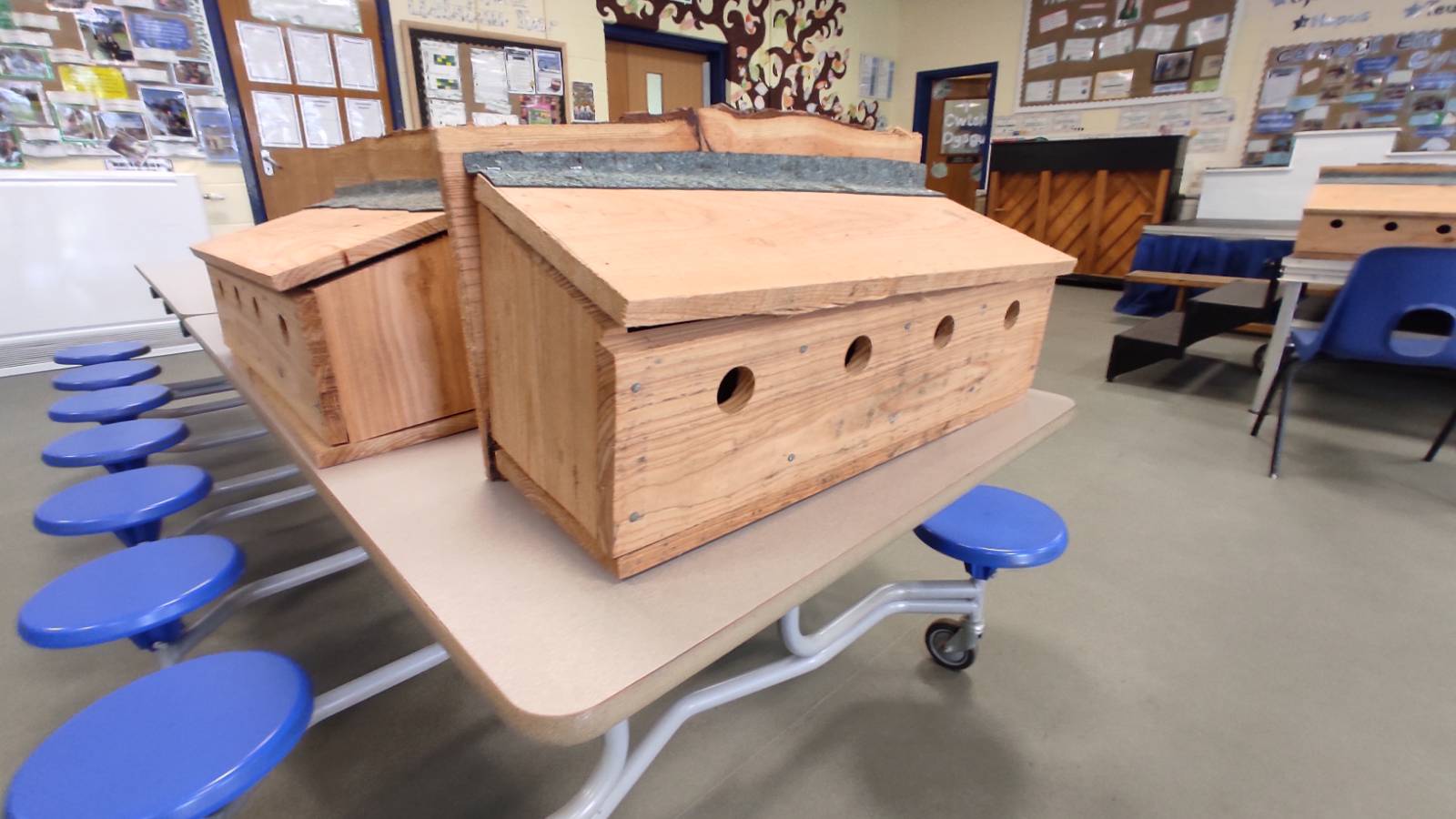 Two 4-apartment wide nest boxes for House Sparrows on a table