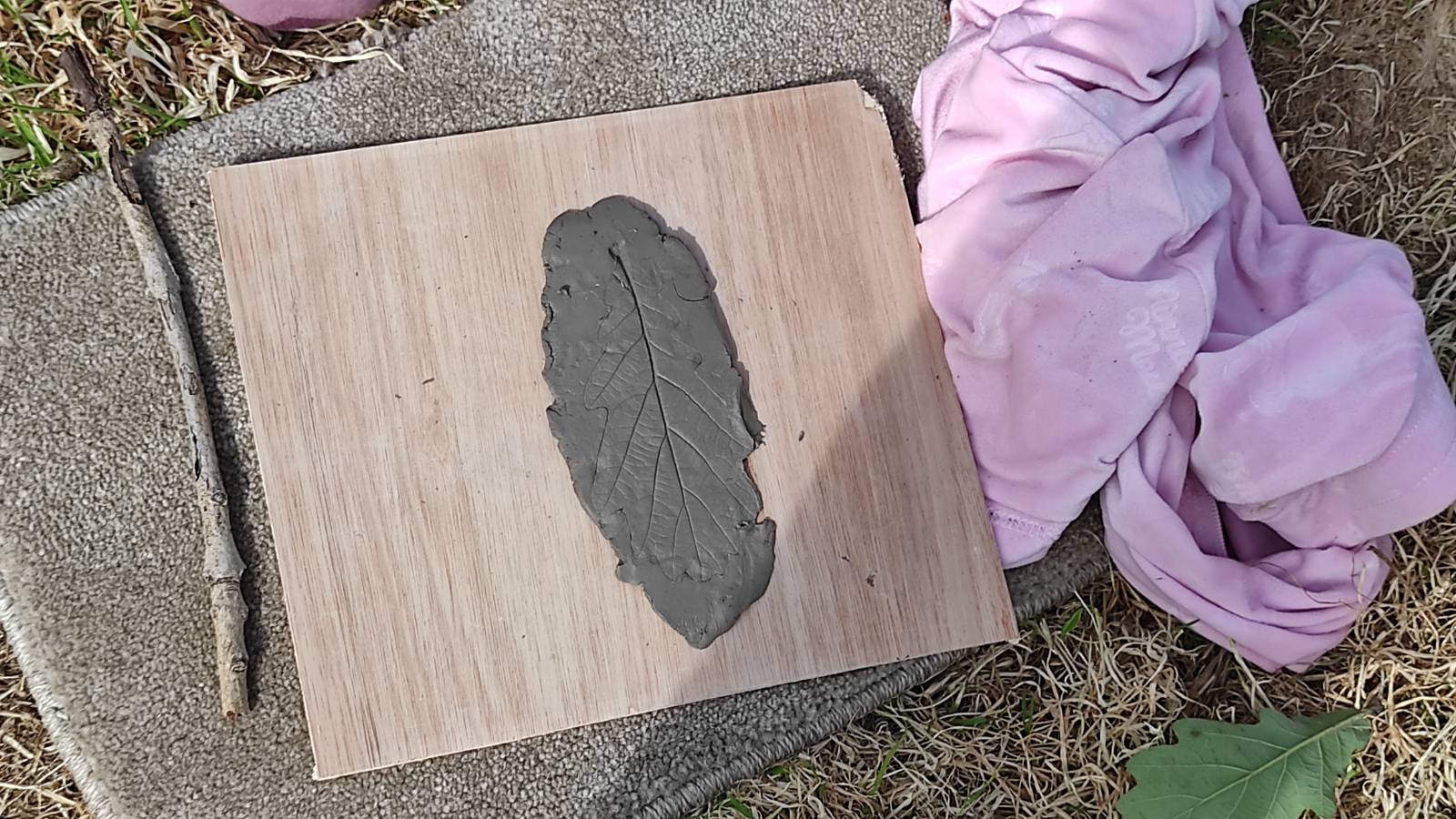 Clay leaf print