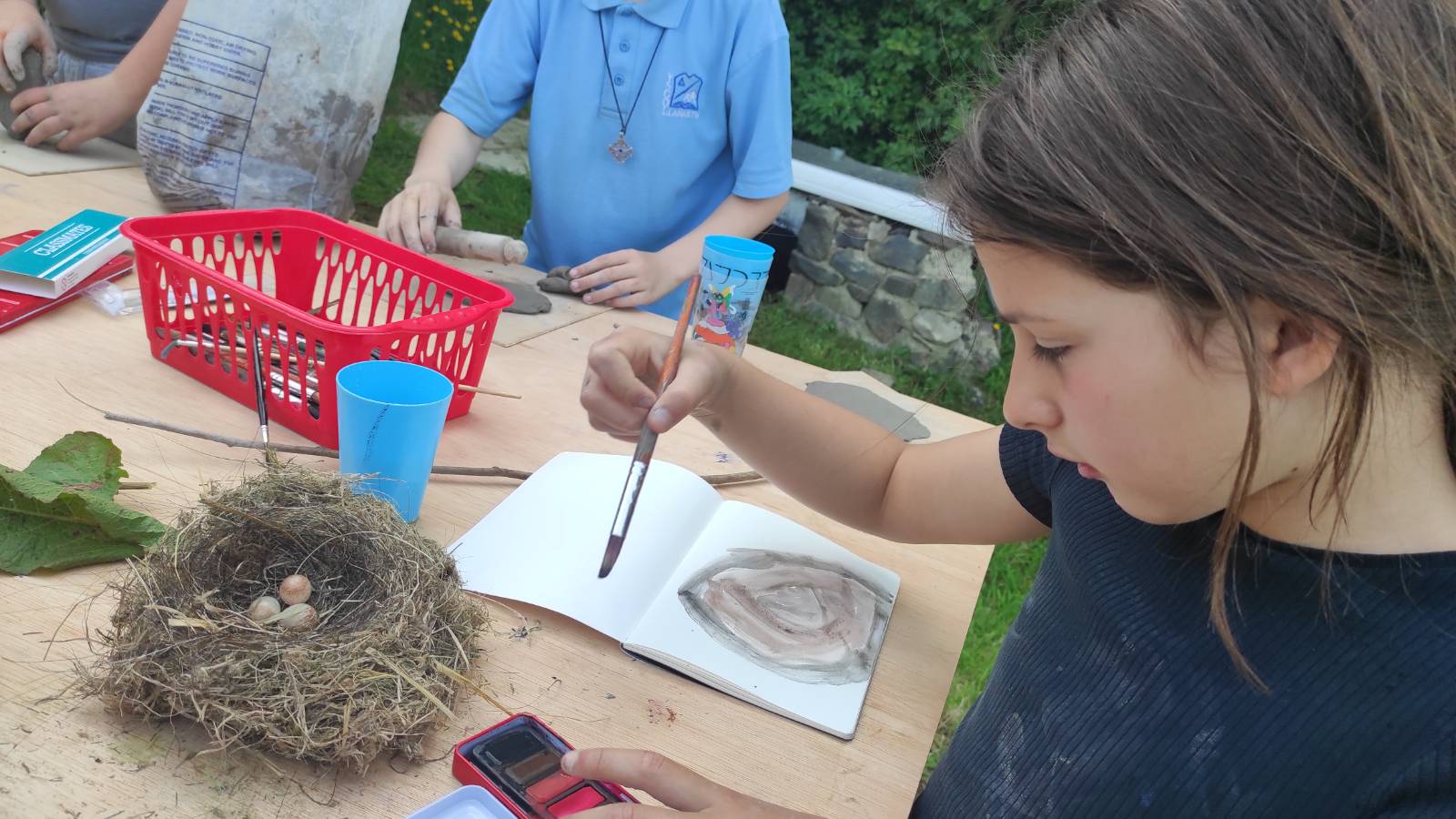 Painting Robin Goch nest and eggs
