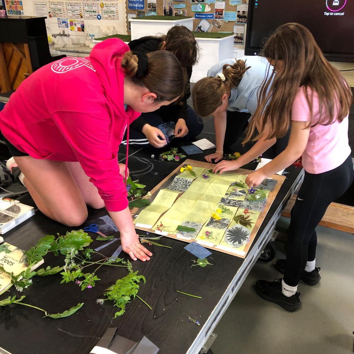 Organising vegetation on stage