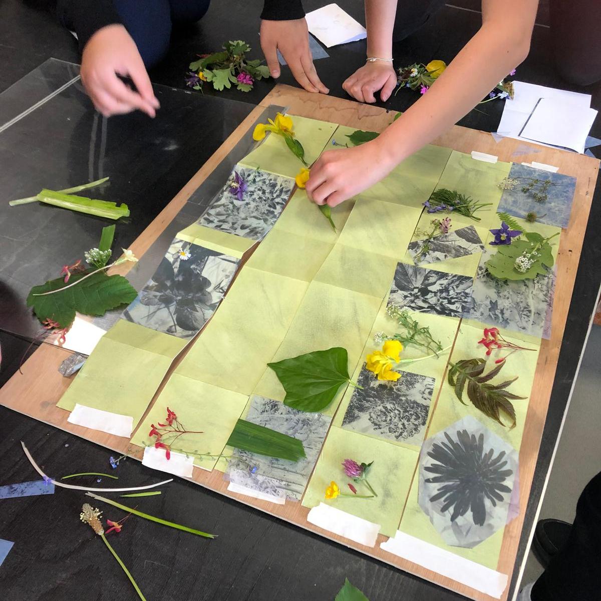 Vegetation on top of negative patterns