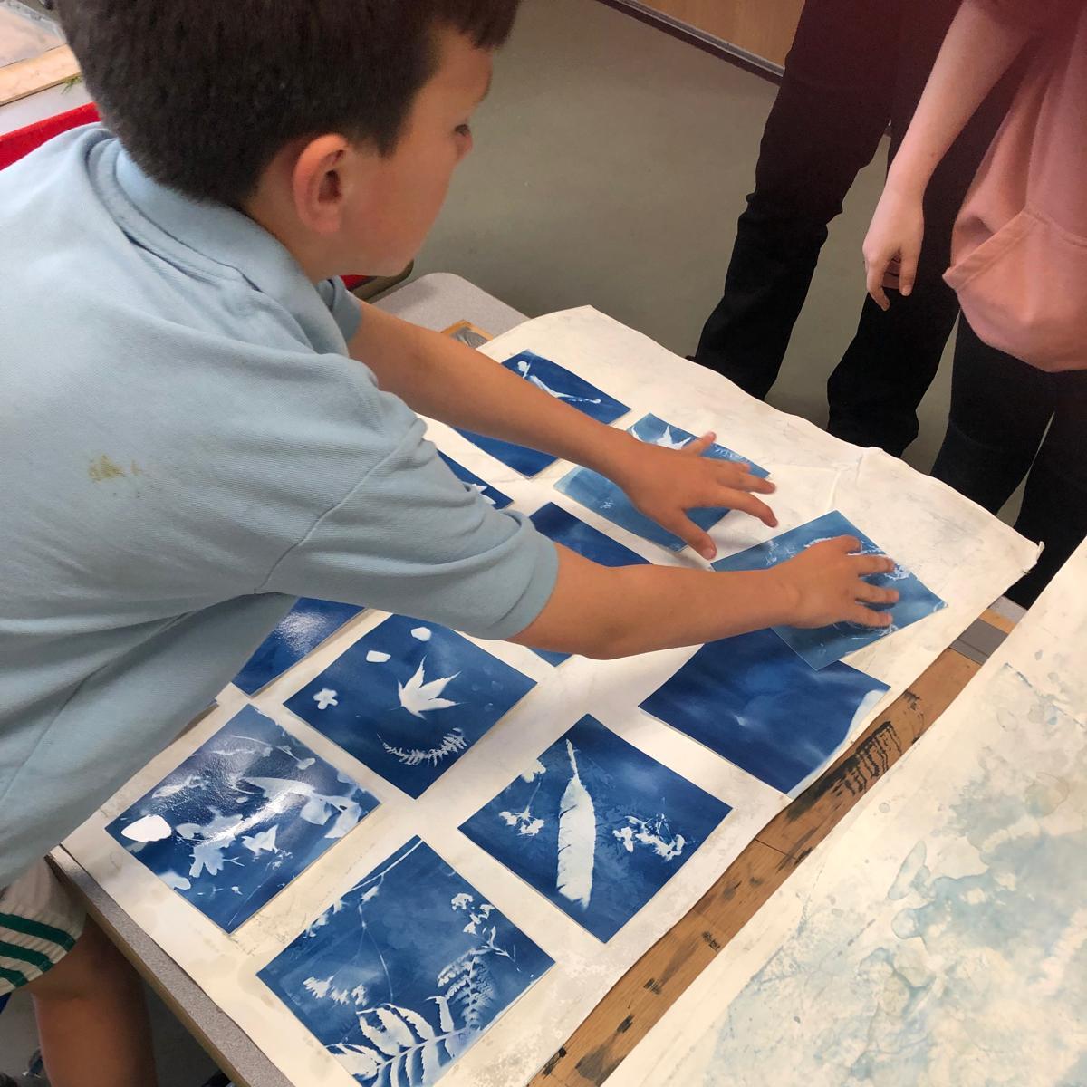 Student arranging square cyanotypes on a large piece of paper on a desk