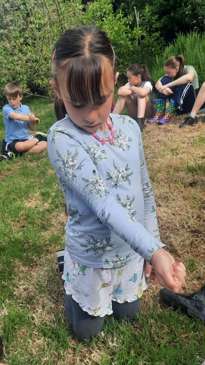 Bug on a sleeve