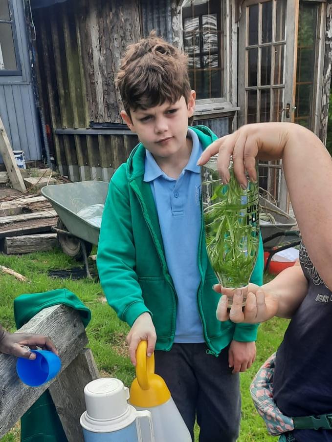 Making Sticky Willy water