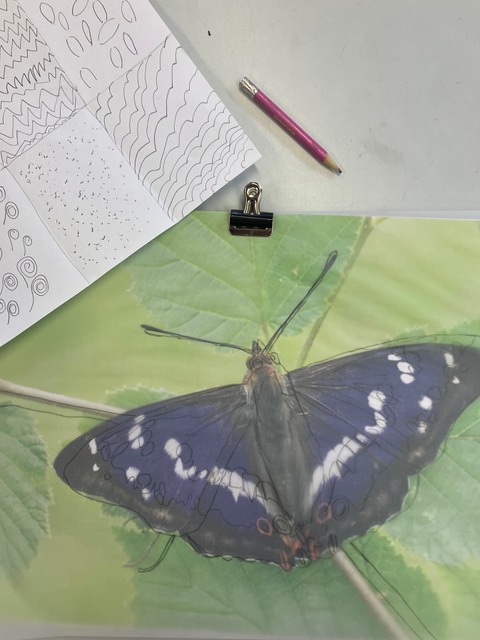 Tracing outlines
