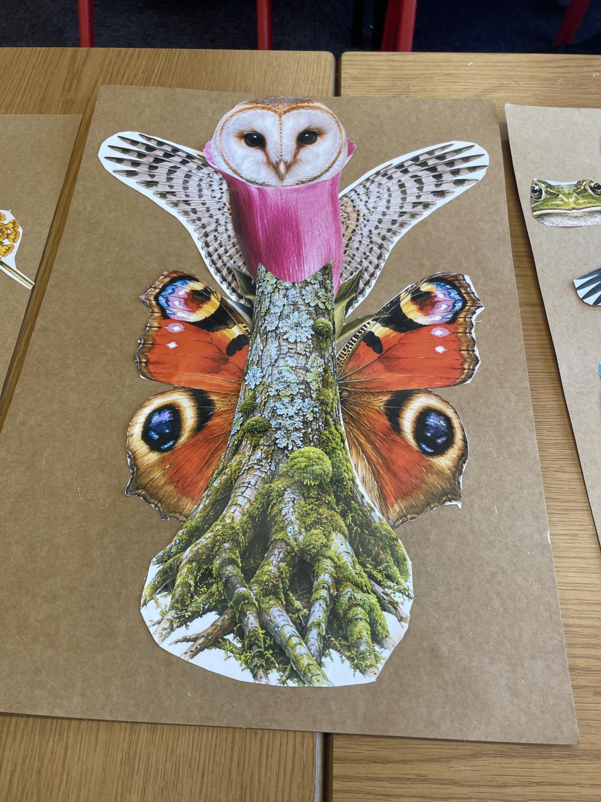 Owlterfly Trunk