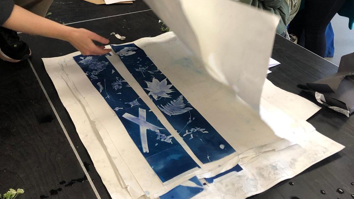 Ysgol Llanilar Workshop 4 — Cyanotype collage strips