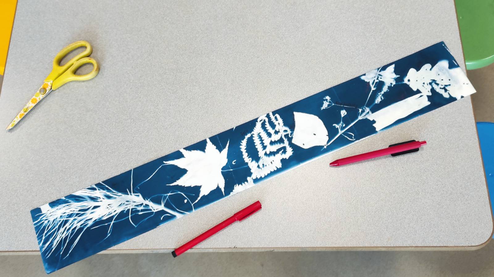 A cyanotype strip