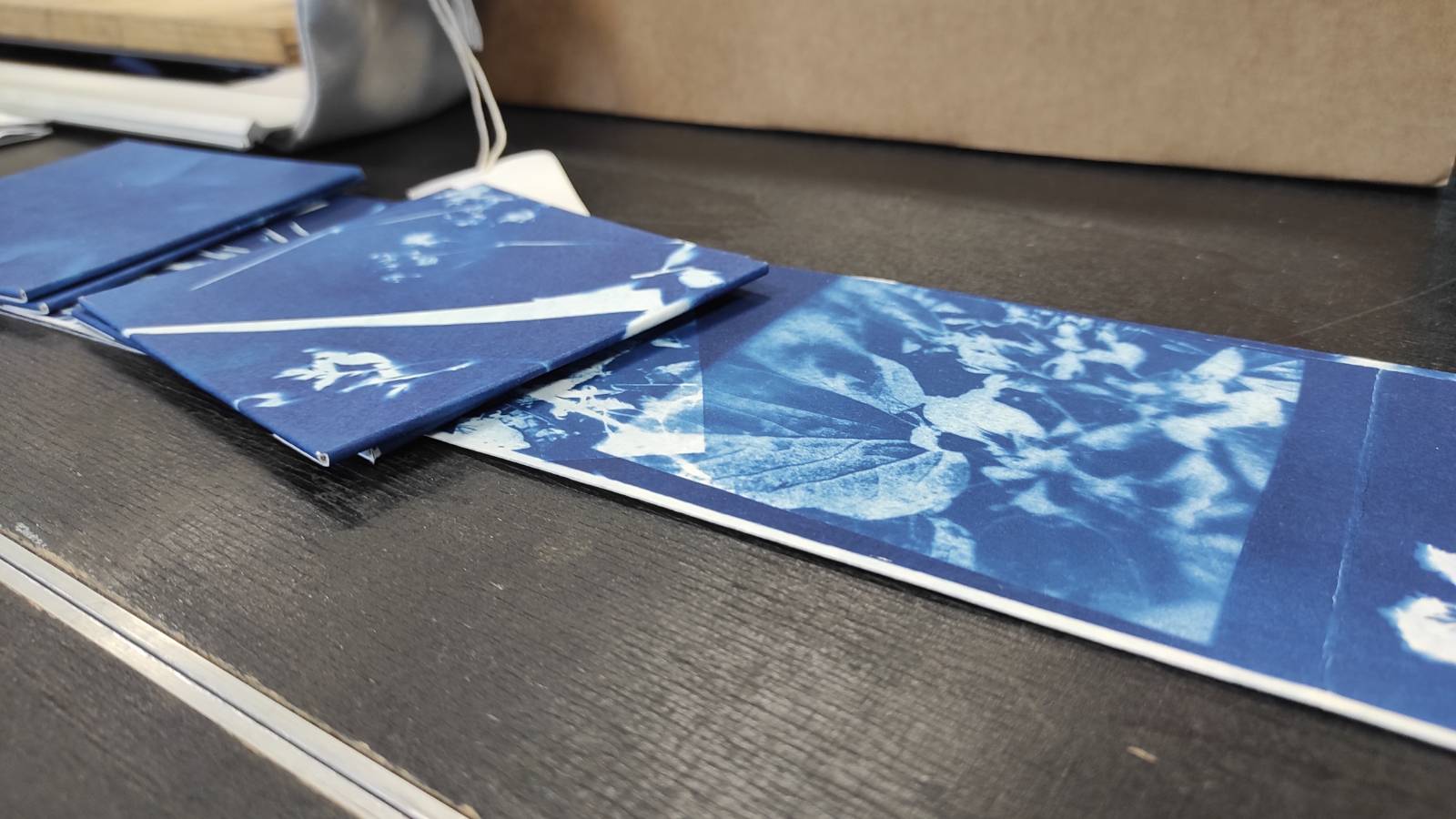 Close-up of cover and cyanotype strip