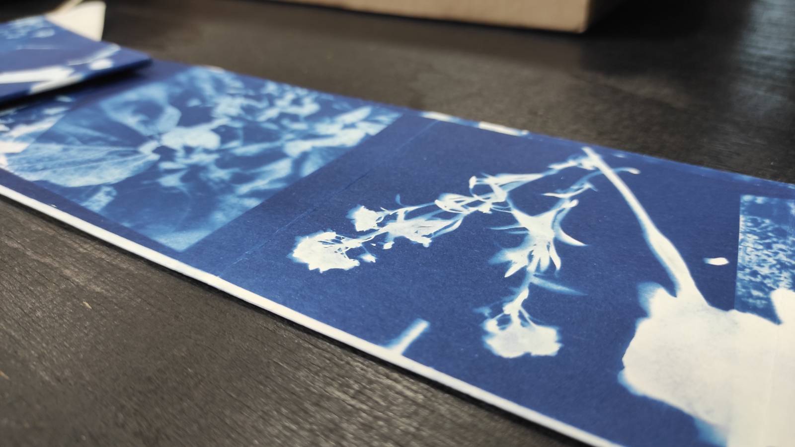 Close-up of cyanotype strip