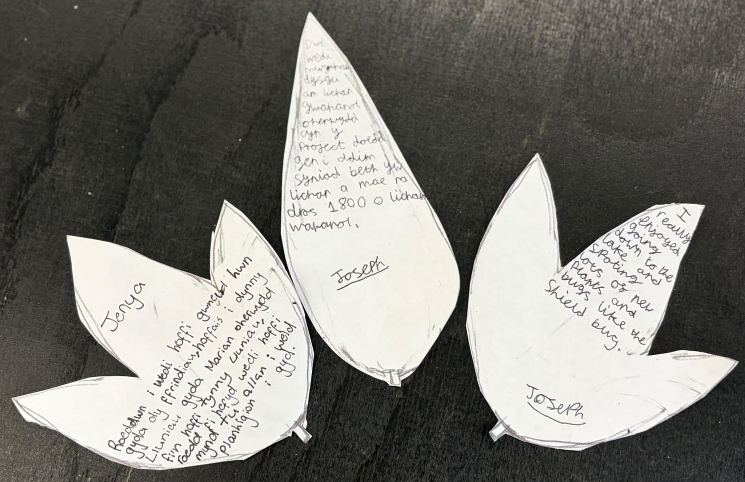 Student feedback