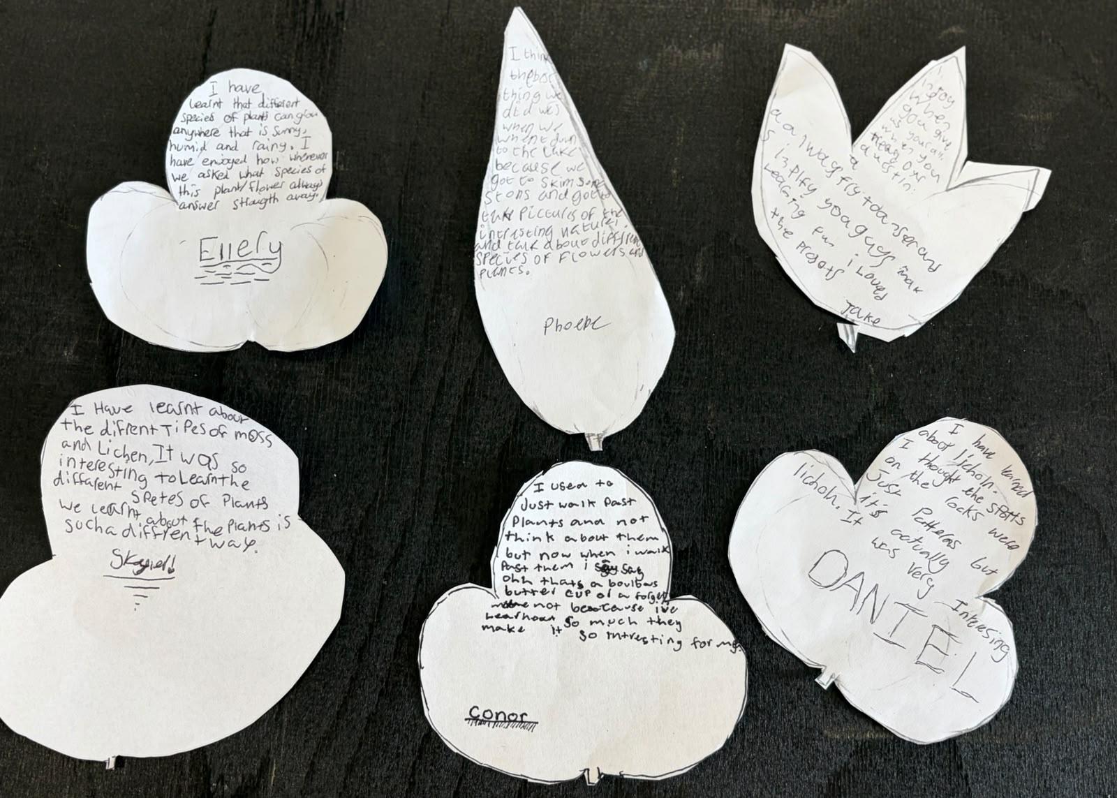 Student feedback