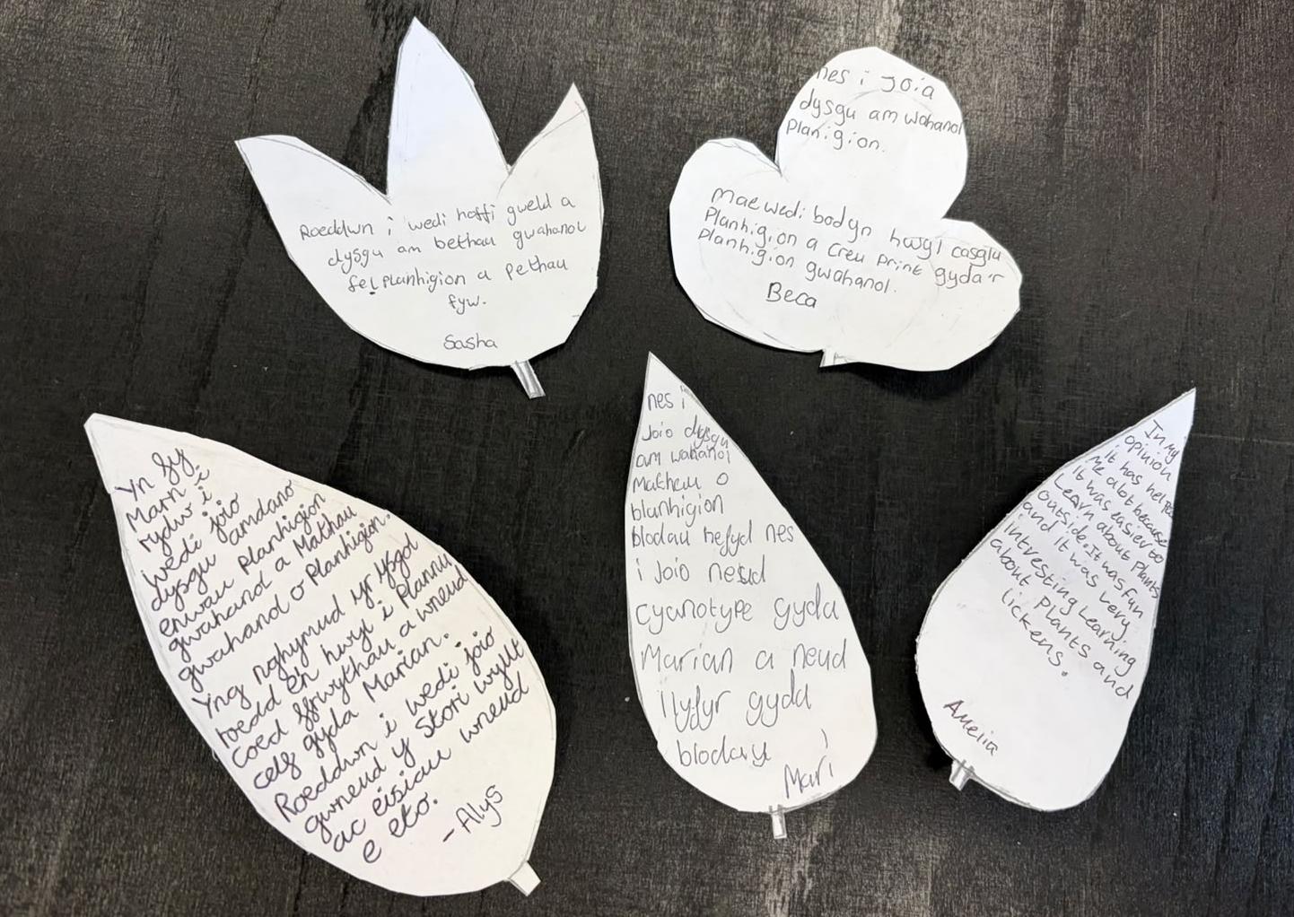 Student feedback