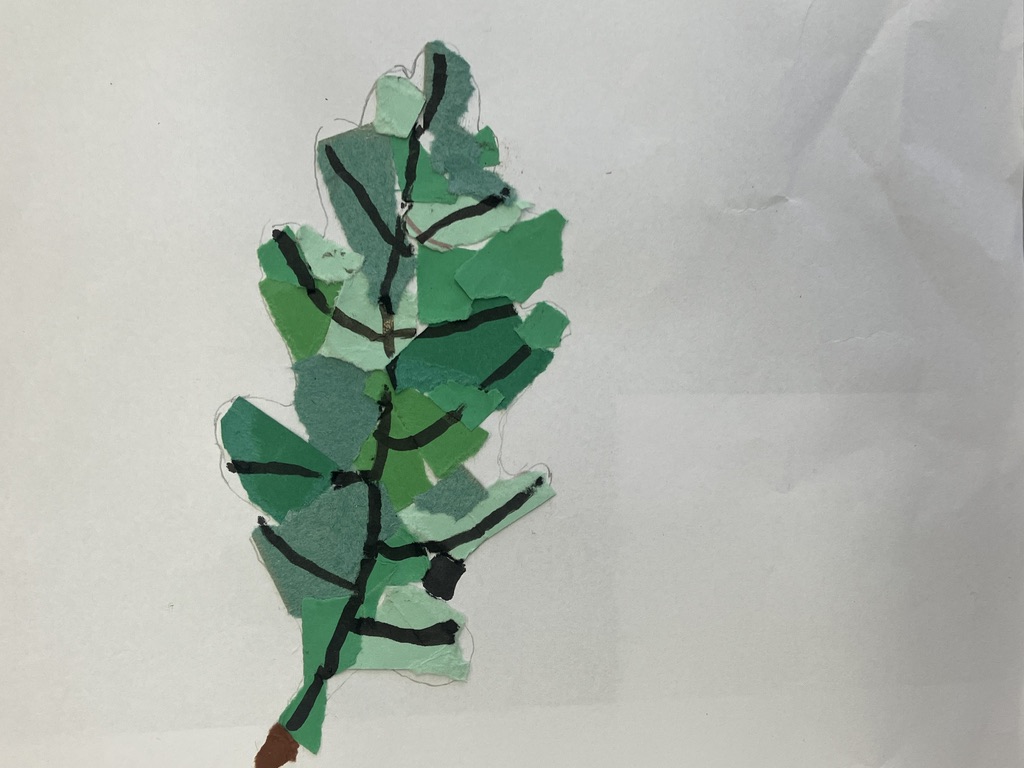 Thin dark veined Oak leaf collage