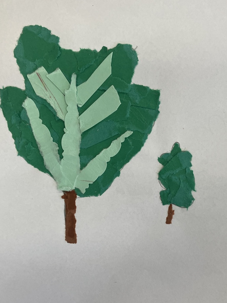Light veined Oak leaf collage