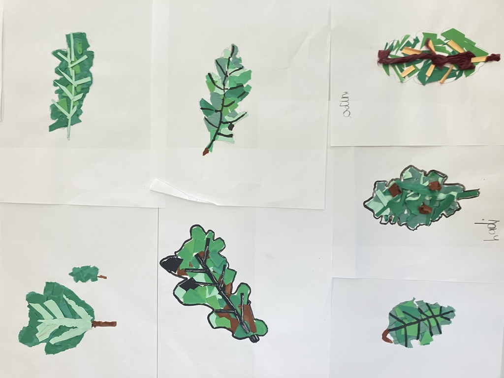 Ysgol Gynradd Aberteifi — Oak leaf collages