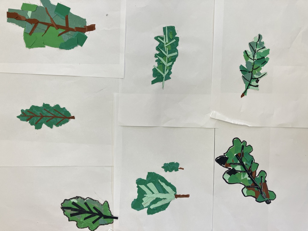 Montage of Oak leaf collages