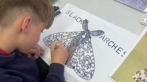 Ysgol Gynradd Aberteifi — Magical Wings activity guide