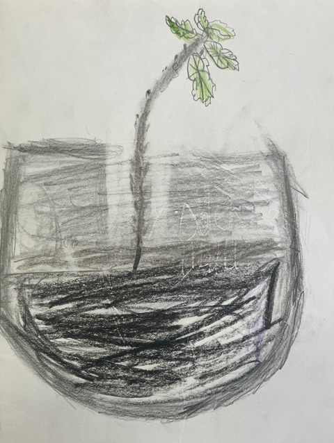 Oak twig in a vase
