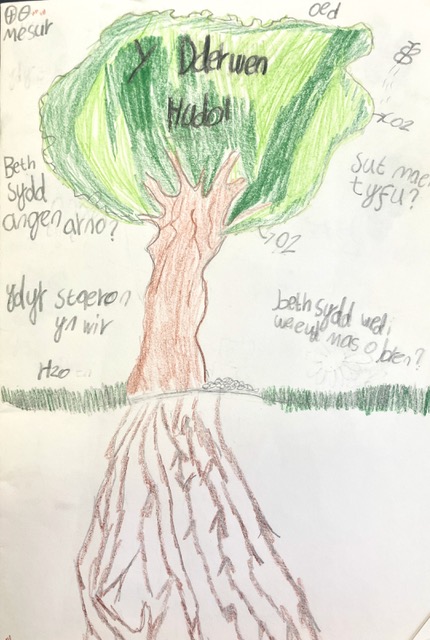 Y Dderwen Hudol, with roots