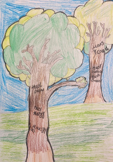 Beautiful coloured drawings of two Oak trees
