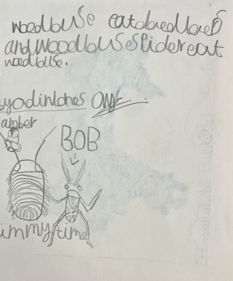 Woodlice eat dead things, and the Woodlouse Spider eats woodlice