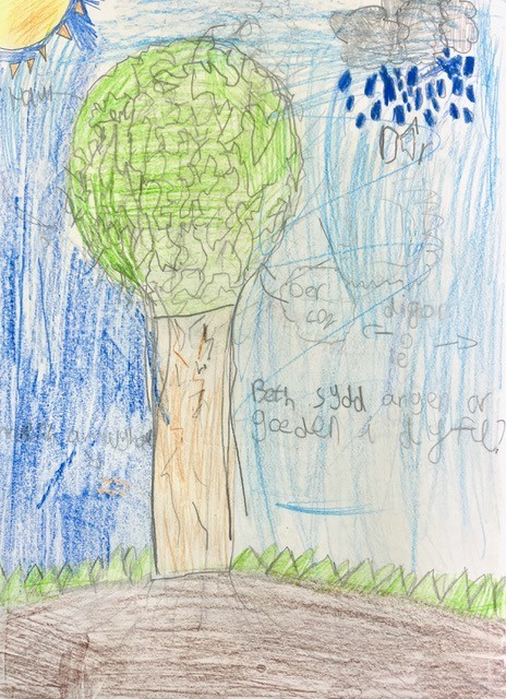 What does an Oak need to grow?