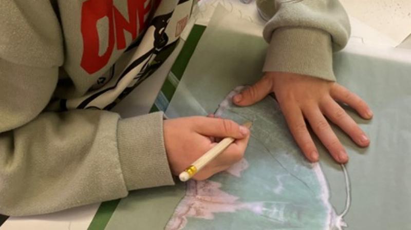 Student leaning over picture of green moth, drawing pencil outline