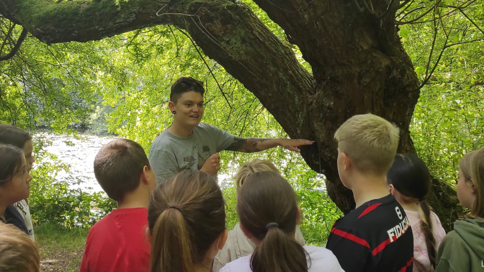 Chiropterologist (bat expert) showing young students how a hole in a big willow tree can develop into bat habitat