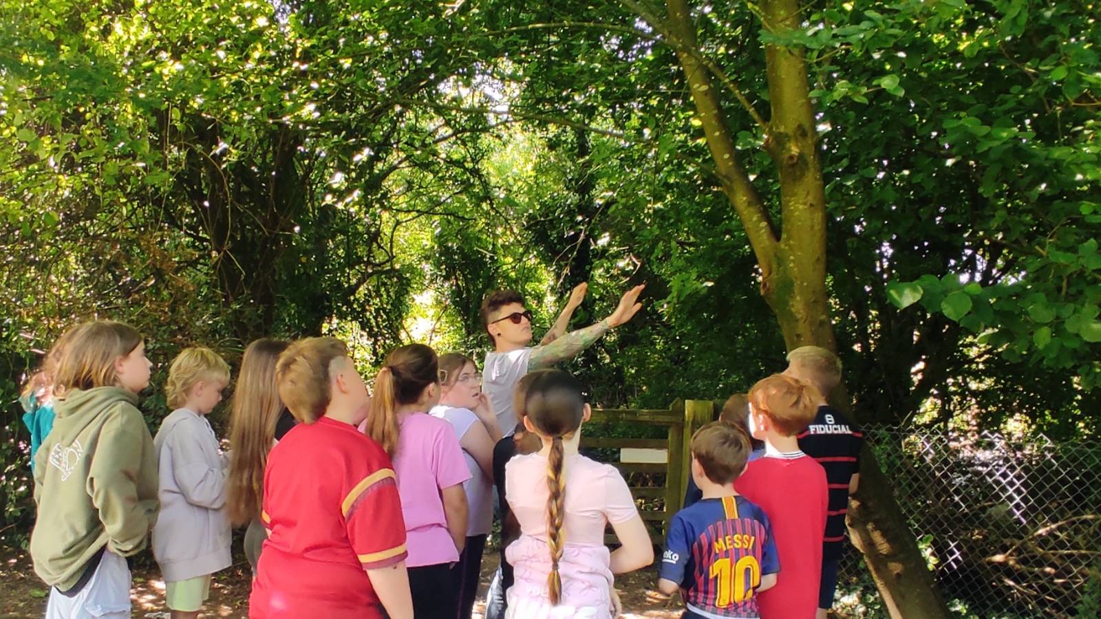  Ysgol Llanilar — Bat workshop