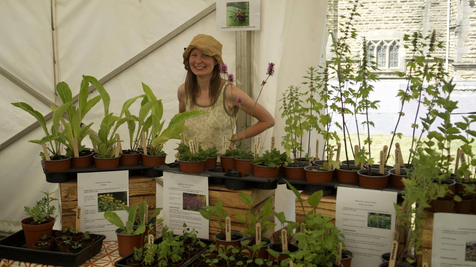Woman standing behind plant stall